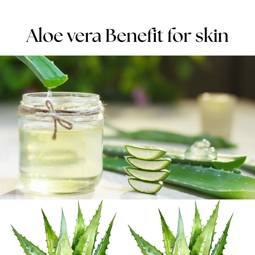 Read more about the article Aloe vera Benefit for skin